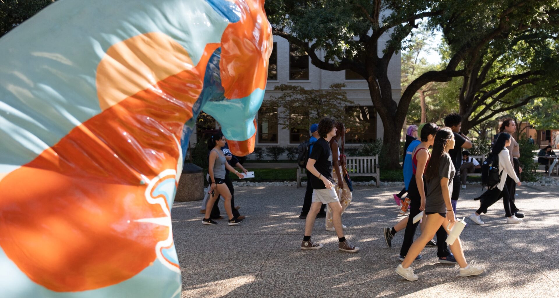 UTA identifies degree programs for possible cuts though academic review process