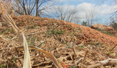 City transfers land to Streams and Valleys to secure mountain biking trail