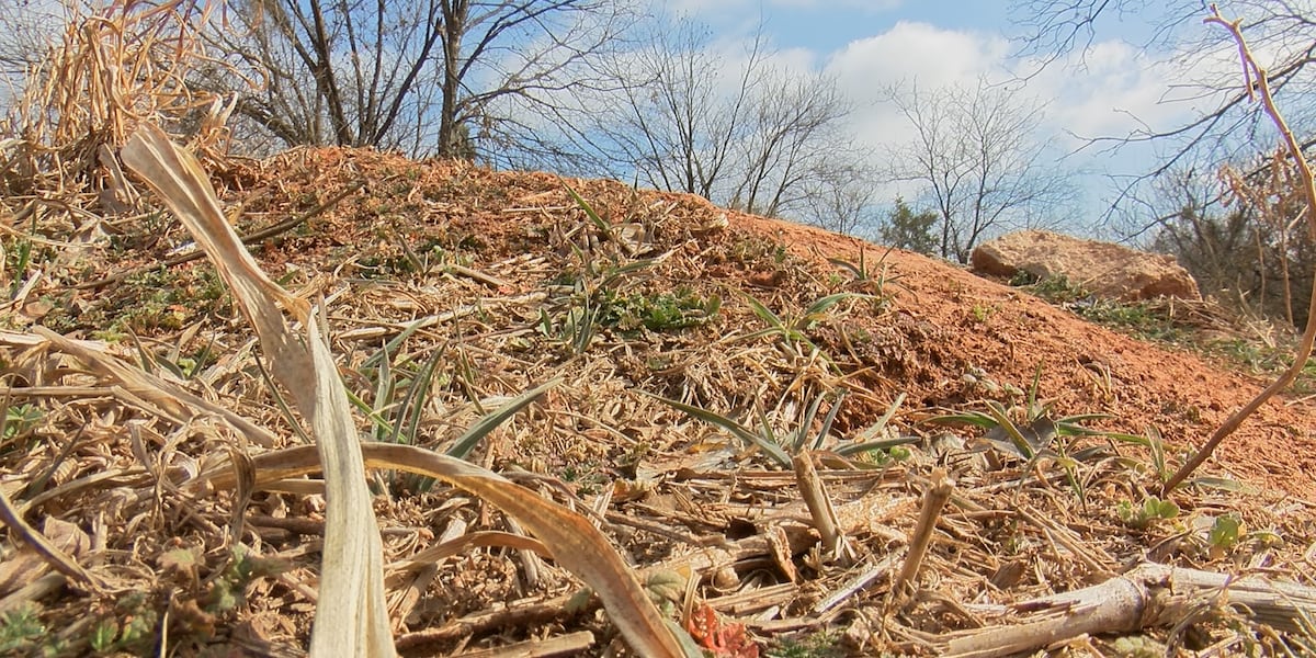 City transfers land to Streams and Valleys to secure mountain biking trail