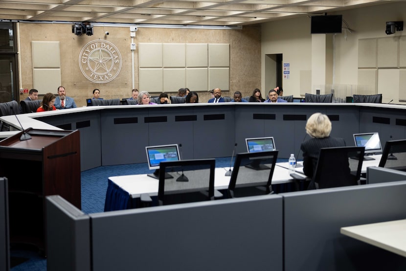 Former Dallas Mayor Laura Miller speaks about the Ladder Project during the Dallas Housing...