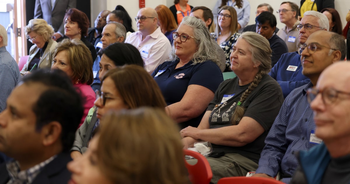 Plano launches online tool aimed at leveling the playing field for small businesses