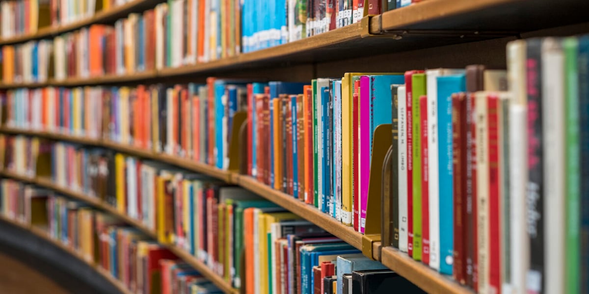 Laredo ISD implements Texas Senate Bill 13 for library oversight