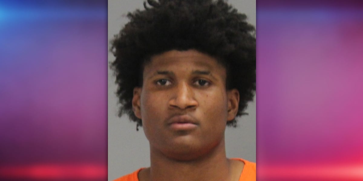 Houston man sentenced to 30 years in prison for coordinated burglaries in Bryan