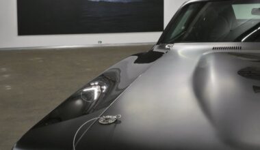 Why a Dallas art museum surfaced in the Jeffrey Epstein files