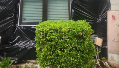 Dallas condo owners live for a year with no walls — just a tarp