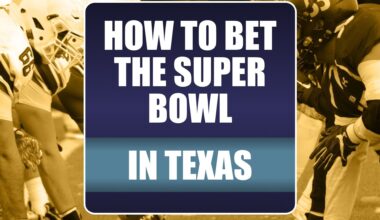 How to Bet the Super Bowl in Texas: Make Predictions on Seahawks-Patriots