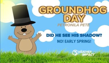 Petronila Pete doesn't see a shadow on Groundhog Day