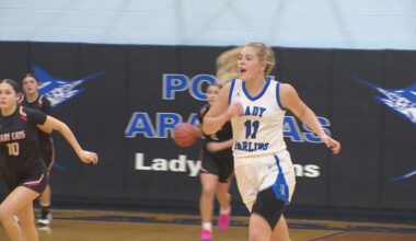 H.S. Girls Basketball Playoffs - Schedule, Scores and Highlights