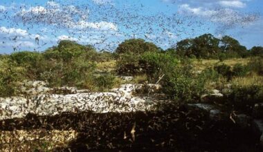 Yahoo lifestyle home