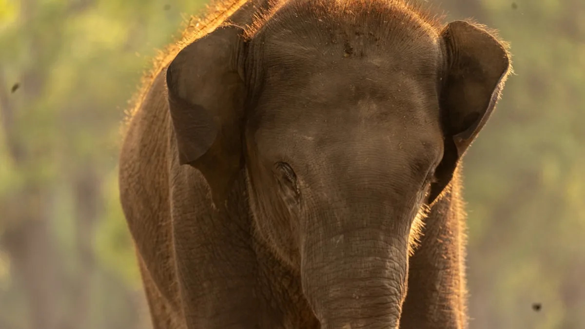 Yahoo lifestyle home