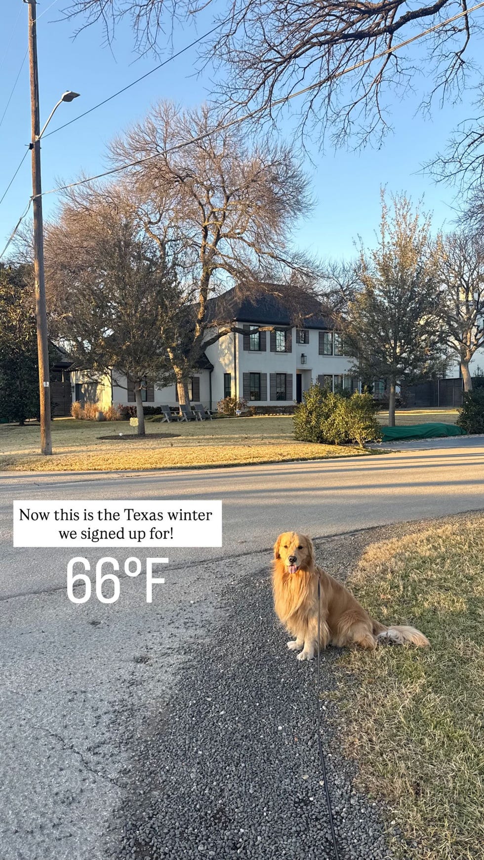 alex drummond dallas weather photo