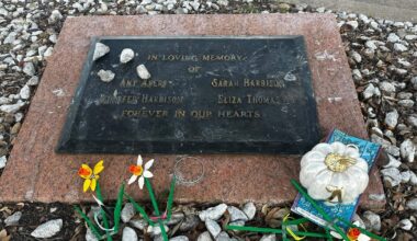 Men once wrongfully accused of Texas yogurt shop murders are declared innocent after suspect identified