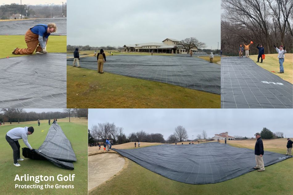 Arlington Parks, Recreation and Culture employees spreading tarps over the greens at the City's public golf courses.