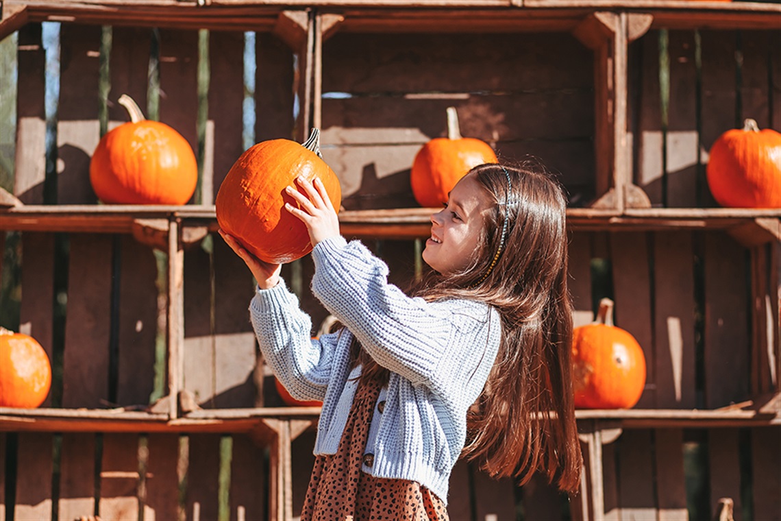 Child holding orange pumpkin at fall seasonal festival. 
