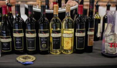 Celebrating Texas Wines And Music