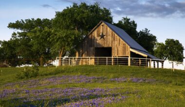 Best Places to See Bluebonnets in Texas