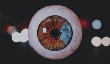 Lubbock Community Reacts To Alleged Eyeball Discovery In Park