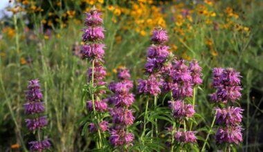 Warmer Days And Stormy Nights Ahead