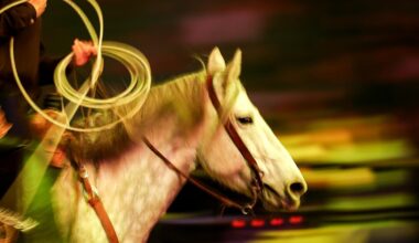 Join The Fun At The Lubbock ABC Pro Rodeo This April