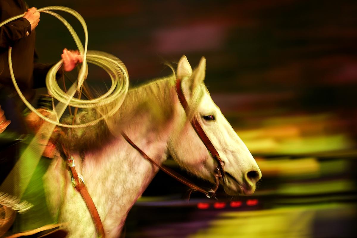 Join The Fun At The Lubbock ABC Pro Rodeo This April