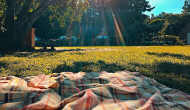 Best Picnic Spots in East Texas You’ll Love
