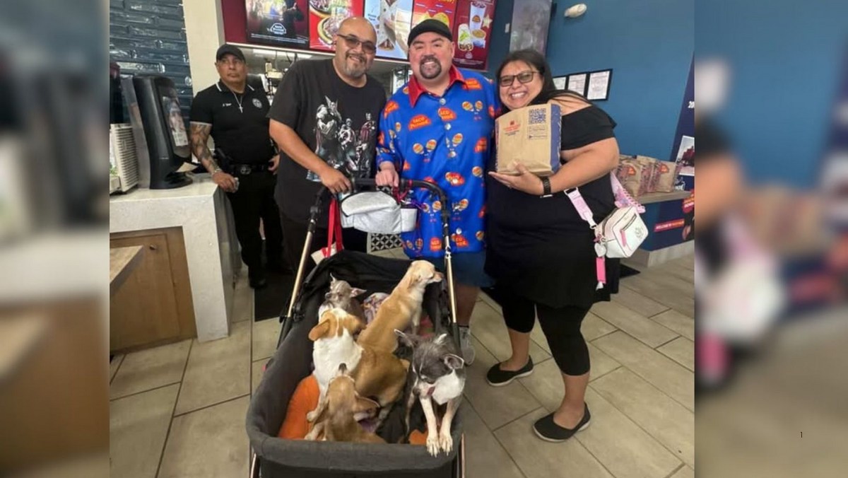 Gabriel Iglesias and Five Tiny El Paso Chihuahuas, A Love Story.