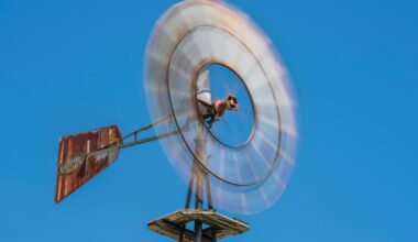 What Everyday Items Fly In Lubbock's Strong Winds?