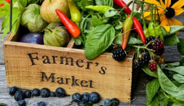 What To Expect At New Deal's New Farmers Market