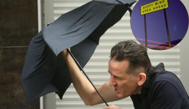 Tips For Surviving El Paso's Unexpected Windy Season