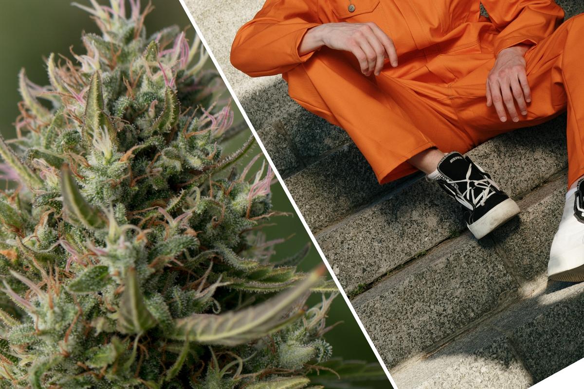 El Paso Man Sentenced For Firearms And Marijuana In National Park