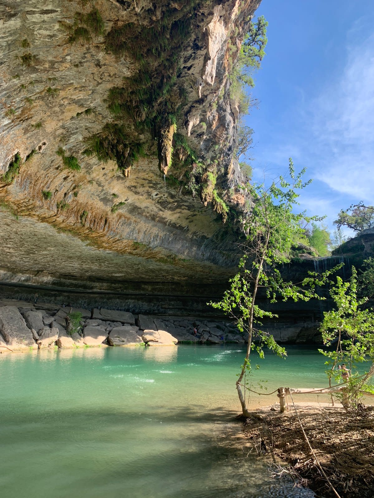 Hamilton Pools feels like stumbling into a fairy grotto (Claudia Cockerell)