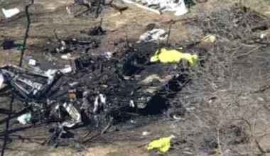 8 dogs die in camper fire in Dallas, officials say