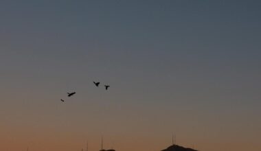 Confusion surrounds sudden El Paso airspace closure