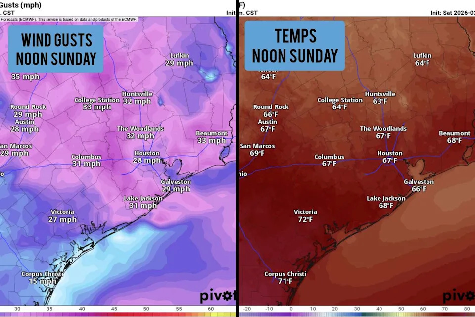 Shown are the potential wind gusts, as well as temperatures across Southeast Texas at noon Sunday. (Pivotal Weather)