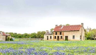 New app walks Texans through planting a native garden