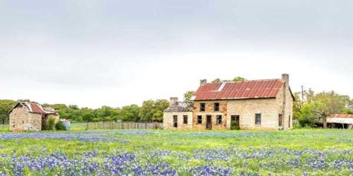 New app walks Texans through planting a native garden