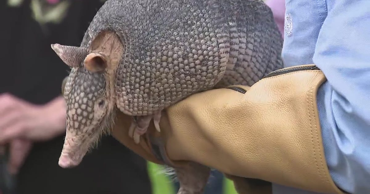 Texas Groundhog Day: 4 traditions better than Punxsutawney Phil