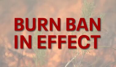 Burn ban in effect for Travis County for next 30 days