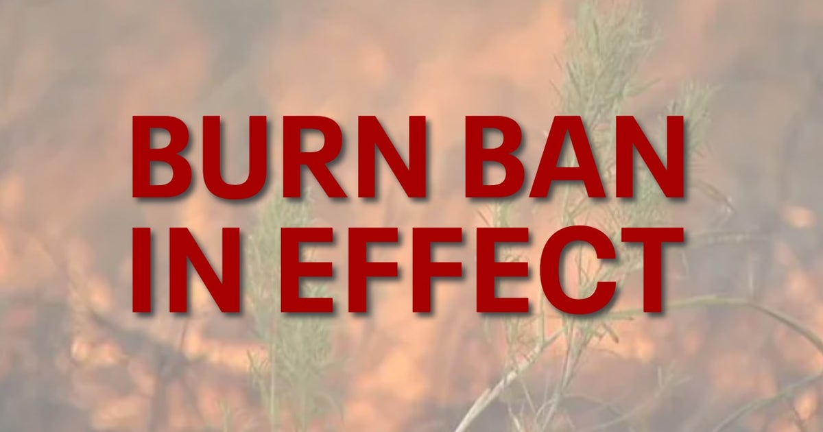 Burn ban in effect for Travis County for next 30 days