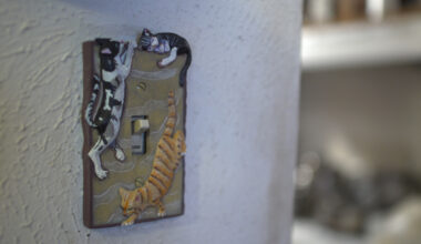 'Me-wow:' Viral cat house brings joy, healing to North Texas man