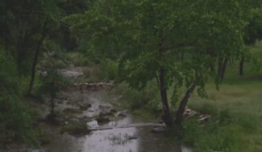 $2.7M deal advances plans for Guajolote Ranch development in northwest SA amid endangered species concerns