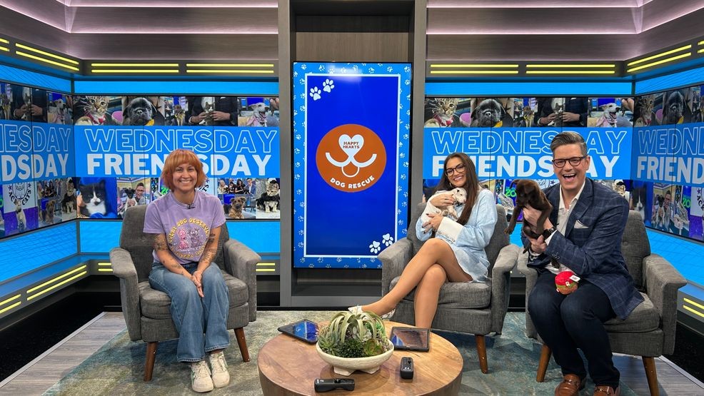 Wednesday Friendsday! Meet precious Tortellini and Ravioli