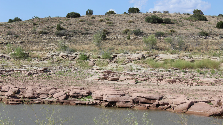 Red sandstone and desert plants line the banks of Lake Sumner in New Mexico.