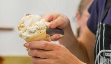 SA's Casa Morgana Gelato seeks help in icy business climate