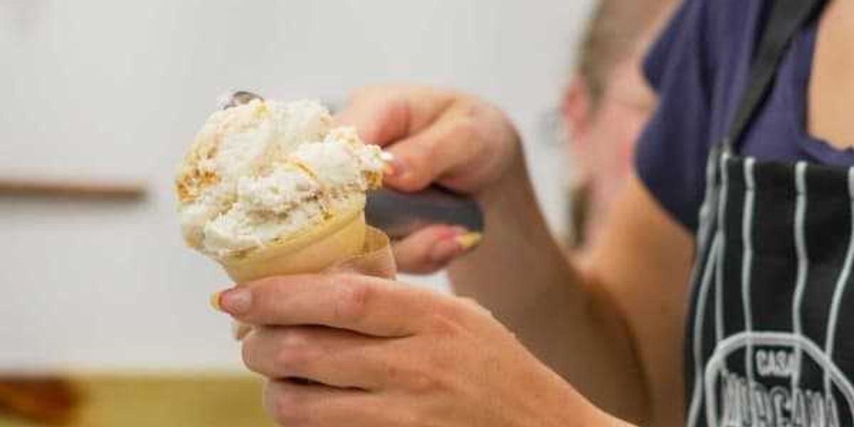SA's Casa Morgana Gelato seeks help in icy business climate
