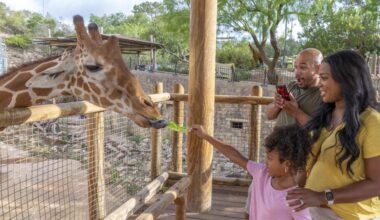 Bexar County residents can enjoy $8 admission to the San Antonio Zoo on Locals Day this Sunday