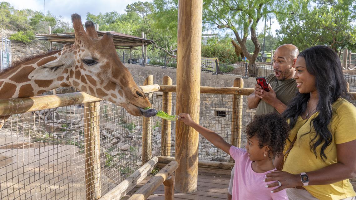 Bexar County residents can enjoy $8 admission to the San Antonio Zoo on Locals Day this Sunday