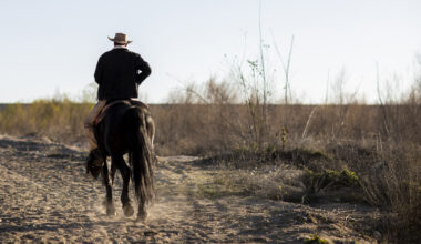 Bowlegged Lessons: My First Rodeo And Final Column