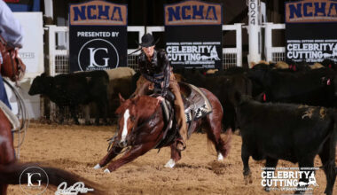 Yahoo entertainment home