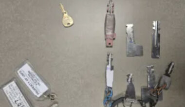 Dallas Police Use License Plate Reader To Bust Stolen Mercedes, Mail Theft Suspect